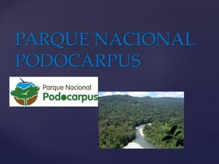 {
PARQUE NACIONAL
PODOCARPUS
 