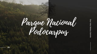 01
Parque Nacional
Podocarpus
DiazVelezMelanyGabriela
 