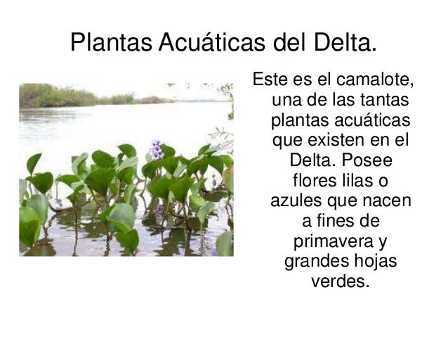 Parque Nacional Pre Delta 1