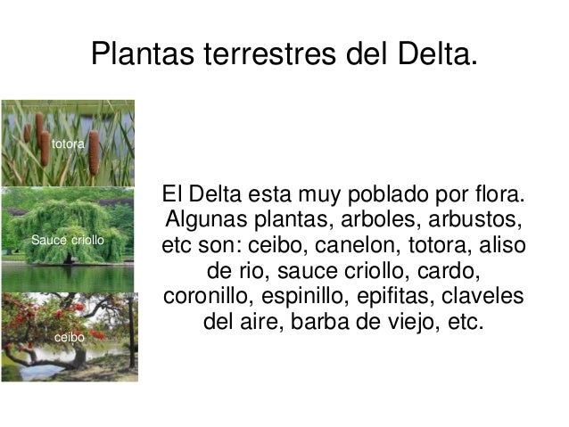 Parque Nacional Pre Delta 1