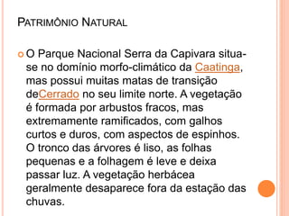 PATRIMÔNIO NATURAL
 O Parque Nacional Serra da Capivara situa-
se no domínio morfo-climático da Caatinga,
mas possui muitas matas de transição
deCerrado no seu limite norte. A vegetação
é formada por arbustos fracos, mas
extremamente ramificados, com galhos
curtos e duros, com aspectos de espinhos.
O tronco das árvores é liso, as folhas
pequenas e a folhagem é leve e deixa
passar luz. A vegetação herbácea
geralmente desaparece fora da estação das
chuvas.
 