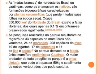  As “matas brancas” do nordeste do Brasil ou
caatingas, como as chamavam os nativos, são
formações biogeográficas caracterizadas
por plantas xeromórficas (que perdem todas suas
folhas na época seca). Ocupa
650.000 km² do Nordeste do Brasil, exceto a faixa
litorânea, dos quais apenas 0,1 % encontram-se
preservados legalmente.[carece de fontes]
 As pesquisas realizadas no parque resultaram no
registro de 33 espécies de mamíferos não-
voadores, 24 de morcegos, 208 espécies de aves,
19 de lagartos, 17 de serpentes e 17
de jias e sapos.6 No parque destaca-se o Mocó,
único mamífero endêmicoda Caatinga. O maior
predador de toda a região do parque é a onça-
pintada, que pode ultrapassar 50kg e se alimenta
de outros vertebrados que pode capturar.
 