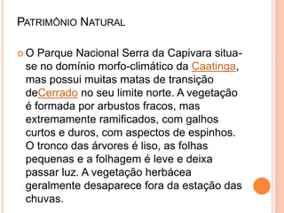 File:Parque Nacional da Serra da Capivara Rocmayer 566.jpg