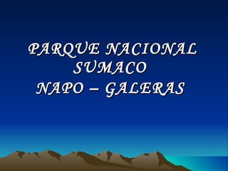 PARQUE NACIONAL SUMACO  NAPO – GALERAS   