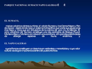 PARQUE NACIONAL SUMACO NAPO GALERAS       EL SUMACO ,  macizo volcánico de tres cumbres -el volcán Sumaco y los Cerros Negro y Pan de Azúcar- desde donde nace un sistema hidrográfico que vierte sus aguas a los ríos Napo y Coca que son tributarios de la cuenca del gran río Amazonas. El cono volcánico del Sumaco constituye una isla ecológica de Bosque Pluvial Montano Bajo y Montano con relación a la cordillera, con grandes posibilidades de albergar especies de fauna endémica, y EL NAPO GALERAS   cuyos flancos constituyen un área rica en vertientes y manantiales y cuyo valor cultural es de gran importancia dentro del pueblo kichwa.  