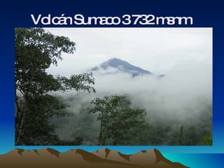 Volcán Sumaco 3 732 msnm   