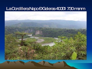 La Cordillera Napo – Galeras 400–1 730 msnm   