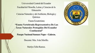 Universidad Central del Ecuador
Facultadde Filosofía, Letras y Ciencias de la
Educación
Ciencias Naturales y delAmbiente, Biología y
Química
Fauna Ecuatoriana
“Fauna Vertebrada Representativa De Las
Áreas Naturales Protegidas Del Ecuador
Continental”
Parque Nacional Sumaco Napo – Galeras.
Docente: Msc. Iván Morillo.
MerlynTello Ramos.
 