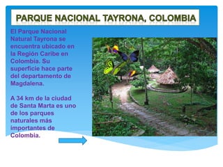 El Parque Nacional
Natural Tayrona se
encuentra ubicado en
la Región Caribe en
Colombia. Su
superficie hace parte
del departamento de
Magdalena.
A 34 km de la ciudad
de Santa Marta es uno
de los parques
naturales más
importantes de
Colombia.
 