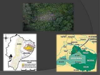 Parque nacional yasuní