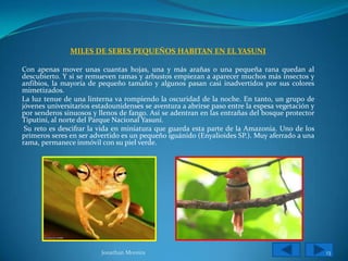 MILES DE SERES PEQUEÑOS HABITAN EN EL YASUNI

Con apenas mover unas cuantas hojas, una y más arañas o una pequeña rana quedan al
descubierto. Y si se remueven ramas y arbustos empiezan a aparecer muchos más insectos y
anfibios, la mayoría de pequeño tamaño y algunos pasan casi inadvertidos por sus colores
mimetizados.
La luz tenue de una linterna va rompiendo la oscuridad de la noche. En tanto, un grupo de
jóvenes universitarios estadounidenses se aventura a abrirse paso entre la espesa vegetación y
por senderos sinuosos y llenos de fango. Así se adentran en las entrañas del bosque protector
Tiputini, al norte del Parque Nacional Yasuní.
 Su reto es descifrar la vida en miniatura que guarda esta parte de la Amazonia. Uno de los
primeros seres en ser advertido es un pequeño iguánido (Enyalioides SP.). Muy aferrado a una
rama, permanece inmóvil con su piel verde.




                         Jonathan Moreira                                                        13
 