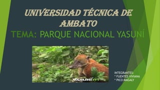 UNIVERSIDAD TÉCNICA DE
AMBATO
TEMA: PARQUE NACIONAL YASUNÍ

INTEGRANTES:
* FUENTES VIVIANA
* PICO MAGALY

 