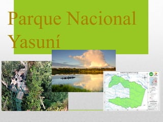 Parque Nacional
Yasuní
 