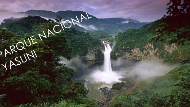 Resultado de imagen para El Parque Nacional Yasuní