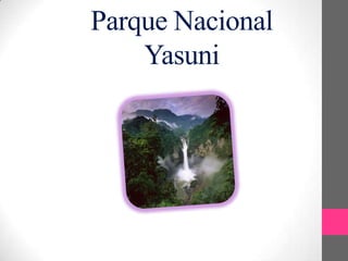 Parque Nacional
Yasuni

 
