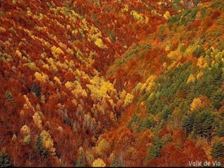 Parque Nal. De Ordesa