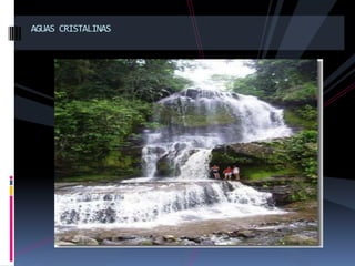 AGUAS CRISTALINAS