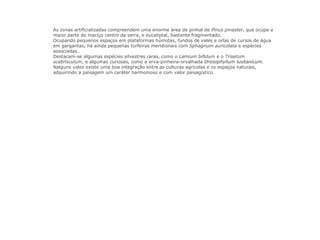 As zonas artificializadas compreendem uma enorme área de pinhal de Pinus pinaster, que ocupa a
maior parte do maciço centro da serra, e eucaliptal, bastante fragmentado.
Ocupando pequenos espaços em plataformas húmidas, fundos de vales e orlas de cursos de água
em gargantas, há ainda pequenas turfeiras meridionais com Sphagnum auricolata e espécies
associadas.
Destacam-se algumas espécies silvestres raras, como o Lamium bifidum e o Trisetum
scabrisculum, e algumas curiosas, como a erva-pinheira-orvalhada Drosophyllum lusitanicum.
Nalguns vales existe uma boa integração entre as culturas agrícolas e os espaços naturais,
adquirindo a paisagem um caráter harmonioso e com valor paisagístico.
 