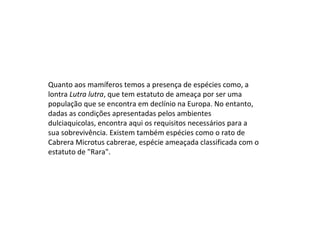 Quanto aos mamíferos temos a presença de espécies como, a
lontra Lutra lutra, que tem estatuto de ameaça por ser uma
população que se encontra em declínio na Europa. No entanto,
dadas as condições apresentadas pelos ambientes
dulciaquicolas, encontra aqui os requisitos necessários para a
sua sobrevivência. Existem também espécies como o rato de
Cabrera Microtus cabrerae, espécie ameaçada classificada com o
estatuto de "Rara".
 