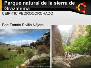 Parque natural de la sierra de Grazalema ,[object Object],Por: Tomás Rivilla Nájera 
