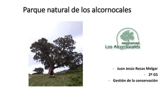 Parque natural de los alcornocales
- Juan Jesús Rosas Melgar
- 2º GS
- Gestión de la conservación
 