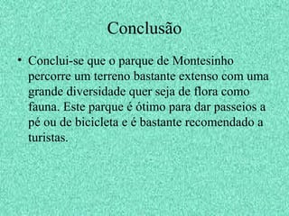 Conclusão
• Conclui-se que o parque de Montesinho
percorre um terreno bastante extenso com uma
grande diversidade quer seja de flora como
fauna. Este parque é ótimo para dar passeios a
pé ou de bicicleta e é bastante recomendado a
turistas.
 