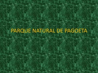 PARQUE NATURAL DE PAGOETA 