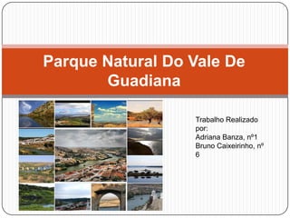Parque Natural Do Vale De Guadiana Trabalho Realizado por: Adriana Banza, nº1 Bruno Caixeirinho, nº 6 