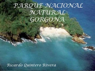 PARQUE NACIONAL
      NATURAL
      GORGONA




Ricardo Quintero Rivera
 