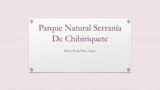Parque Natural Serranía
De Chibiriquete
María Paula Silva López
 