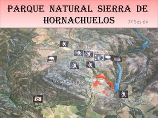 Parque Natural Sierra de
HorNacHueloS
Parque Natural Sierra de
HorNacHueloS 7ª Sesión
 