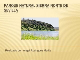 Parque natural Sierra norte de sevilla Realizado por: Ángel Rodríguez Muñiz 