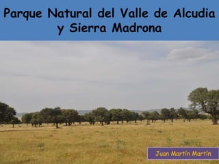 Parque Natural del Valle de Alcudia
y Sierra Madrona
Juan Martín Martín
 