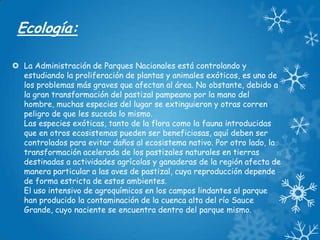 Ecología:
 La Administración de Parques Nacionales está controlando y
estudiando la proliferación de plantas y animales exóticos, es uno de
los problemas más graves que afectan al área. No obstante, debido a
la gran transformación del pastizal pampeano por la mano del
hombre, muchas especies del lugar se extinguieron y otras corren
peligro de que les suceda lo mismo.
Las especies exóticas, tanto de la flora como la fauna introducidas
que en otros ecosistemas pueden ser beneficiosas, aquí deben ser
controlados para evitar daños al ecosistema nativo. Por otro lado, la
transformación acelerada de los pastizales naturales en tierras
destinadas a actividades agrícolas y ganaderas de la región afecta de
manera particular a las aves de pastizal, cuya reproducción depende
de forma estricta de estos ambientes.
El uso intensivo de agroquímicos en los campos lindantes al parque
han producido la contaminación de la cuenca alta del río Sauce
Grande, cuyo naciente se encuentra dentro del parque mismo.

 