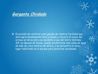 Garganta Olvidada

 Excursión de carácter auto guiado de relativa facilidad que
dura aproximadamente hora y media y recorre el cauce del
arroyo en dirección a su naciente al pie del Cerro Ventana.
Allí, en épocas de lluvias, puede encontrarse una caída de agua
de más de cinco metros de altura, y se encuentra el único
lugar habilitado en el parque para practicar escaladas.

 