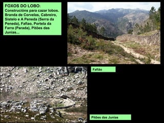 FOXOS DO LOBO:
Construcións para cazar lobos.
Branda de Corvelas, Cabreiro,
Sistelo e A Peneda (Serra da
Peneda), Fafiao, Portela da
Farra (Parada), Pitões das
Junias...
Pitões das Junias
Fafião
 