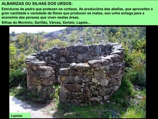 ALBARIZAS OU SILHAS DOS URSOS:
Estruturas de pedra que protexen os cortizos. As producións das abellas, que aproveitan a
gran cantidade e variedade de flores que producen os matos, son unha achega para a
economía das persoas que viven nestas áreas.
Silhas do Moninho, Sarillão, Várcea, Xertelo, Lapela...
Lapelas
 