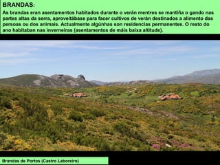 BRANDAS:
As brandas eran asentamentos habitados durante o verán mentres se mantiña o gando nas
partes altas da serra, aproveitábase para facer cultivos de verán destinados a alimento das
persoas ou dos animais. Actualmente algúnhas son residencias permanentes. O resto do
ano habitaban nas inverneiras (asentamentos de máis baixa altitude).
Brandas de Portos (Castro Laboreiro)
 