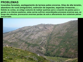 PROBLEMAS
Incendios forestais, asolagamento de terreos polos encoros, liñas de alta tensión,
abandono do rural (emigración), extinción de especies, especies invasoras...…
Debido ás cortas, ao antigo costume de realizar queimas para a creación de pastos para o
gando e ao intenso pastoreo, estas serras sufriron xeneralizados procesos erosivos que, ao
longo dos séculos, provocaron enormes perdas de solo e afloramento dun substrato pétreo
descarnado.
 