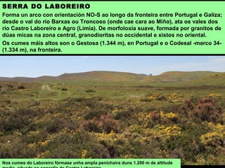 SERRA DO LABOREIRO
Forma un arco con orientación NO-S ao longo da fronteira entre Portugal e Galiza;
desde o val do río Barxas ou Troncoso (onde cae cara ao Miño), ata os vales dos
río Castro Laboreiro e Agro (Limia). De morfoloxía suave, formada por granitos de
dúas micas na zona central, granodioritas no occidental e xistos no oriental.
Os cumes máis altos son o Gestosa (1.344 m), en Portugal e o Codesal -marco 34-
(1.334 m), na fronteira.
Nos cumes do Laboreiro fórmase unha ampla penichaira duns 1.200 m de altitude
 