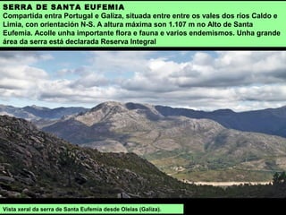 SERRA DE SANTA EUFEMIA
Compartida entra Portugal e Galiza, situada entre entre os vales dos ríos Caldo e
Limia, con orientación N-S. A altura máxima son 1.107 m no Alto de Santa
Eufemia. Acolle unha importante flora e fauna e varios endemismos. Unha grande
área da serra está declarada Reserva Integral
Vista xeral da serra de Santa Eufemia desde Olelas (Galiza).
 