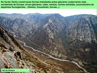 Val do Homen
No Xurés/ Gerês consérvanse formas traballadas polos glaciares cuaternarios máis
occidentais de Europa: circos glaciares, vales, moreas, rochas estriadas, acumulacións de
depósitos fluvioglaciais... (Homen, Coucelinho, Cervas...)
 