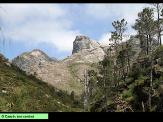 O Caucãu (no centro)
 