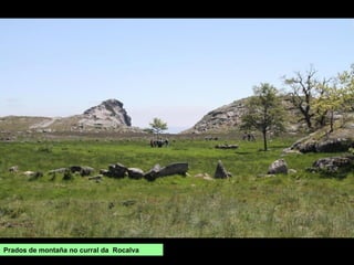 Prados de montaña no curral da Rocalva
 