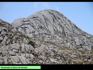 Penameda na Serra da Peneda
 