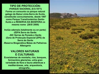 TIPO DE PROTECCIÓN:
-PARQUE NACIONAL (8-5-1971)
Forma un conxunto co parque natural
galego da Baixa Limia-Serra do Xurés,
constituido conxuntamente, desde 1997
como Parque Transfronteirizo Gerês-
Xurés e a RESERVA DA BIOSFERA co
mesmo nome (26/5/ 2009)
Inclúe ademais (totalmente ou en parte):
-ZEPA Serra do Gerês
-SIC Serras da Peneda e Gerês
-Zona de Protecção Especial (ZPE) da
Serra do Gerês
-Reserva Biogenética Matas de Palheiros-
Albergaria
VALORES NATURAIS
E CULTURAIS:
Ecosistemas de montaña, ríos, bosques,
formacións glaciarias, unha gran
variedade de flora e fauna atlánticas e
mediterráneas, arte, arqueoloxía,
etnografía...
 