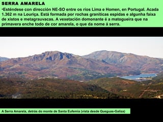 SERRA AMARELA
•Esténdese con dirección NE-SO entre os ríos Lima e Homen, en Portugal. Acada
1.362 m na Louriça. Está formada por rochas graníticas espidas e algunha faixa
de xistos e metagrauvacas. A vexetación domonante é a matogueira que na
primavera enche todo de cor amarela, o que da nome á serra.
A Serra Amarela, detrás do monte de Santa Eufemia (vista desde Queguas-Galiza)
 