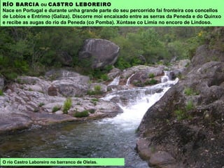 RÍO BARCIA ou CASTRO LEBOREIRO
Nace en Portugal e durante unha grande parte do seu percorrido fai fronteira cos concellos
de Lobios e Entrimo (Galiza). Discorre moi encaixado entre as serras da Peneda e do Quinxo
e recibe as augas do río da Peneda (co Pomba). Xúntase co Limia no encoro de Lindoso.
O río Castro Laboreiro no barranco de Olelas.
 