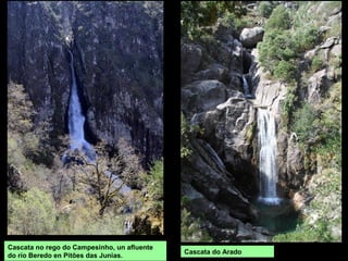 Cascata do Arado
Cascata no rego do Campesinho, un afluente
do río Beredo en Pitões das Junias.
 