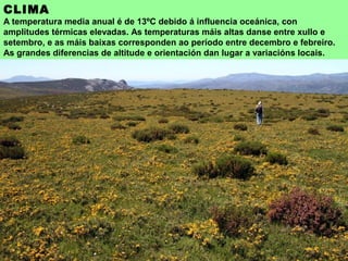 CLIMA
A temperatura media anual é de 13ºC debido á influencia oceánica, con
amplitudes térmicas elevadas. As temperaturas máis altas danse entre xullo e
setembro, e as máis baixas corresponden ao período entre decembro e febreiro.
As grandes diferencias de altitude e orientación dan lugar a variacións locais.
 